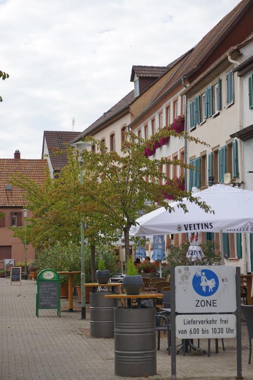 Fewo Apland Landau in der Pfalz Camera foto